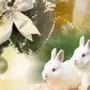 Картинки на рабочий стол год кролика