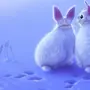 Год кролика картинки