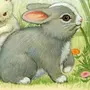 Кролик Картинка Для Детей