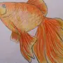 Нарисованная золотая рыбка