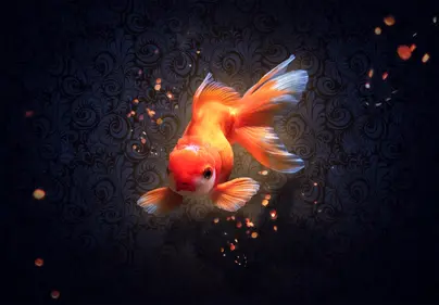Золотая рыбка в море