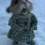 Доброе зимнее утро с кроликом картинки