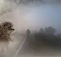Ежик в тумане с узелком