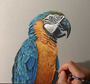 Нарисованный Попугай