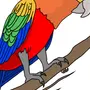 Нарисованный попугай