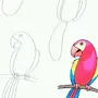 Рисунок попугай