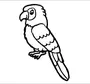 Рисунок попугай