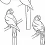 Рисунок попугая поэтапно