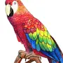 Попугай ара рисунок