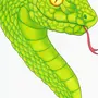 Морда змеи рисунок