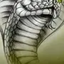 Морда Змеи Рисунок