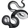 Две змеи рисунок
