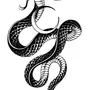 Рисунок Ядовитой Змеи