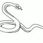 Рисунок змеи гадюки