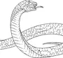 Рисунок Змеи Гадюки