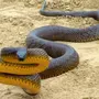 Самая ядовитая змея на планете