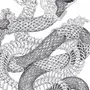 Змея Картинка Черно Белая