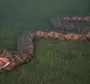 Самые большие змеи