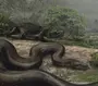 Самые большие змеи