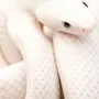 Белая Змея