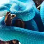 Синяя Змея
