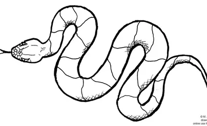 Змея картинка рисунок карандашом