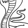 Змея Картинка Рисунок Карандашом