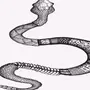 Змея Картинка Рисунок Карандашом