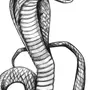 Змея Картинки Для Срисовки