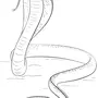 Змея Рисунок Легкий