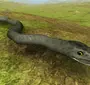 Змея Титанобоа