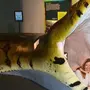 Змея титанобоа