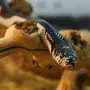Змея Титанобоа