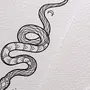 Картинка змеи карандашом