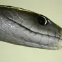Мамба змея
