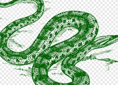 Змея картинка нарисованная