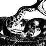 Змея картинка нарисованная