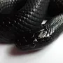 Змея черно белое
