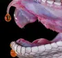 Зубы змеи
