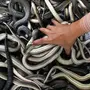 Много змей