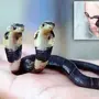 3 змеи