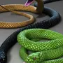 3 змеи