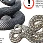 Определить змею