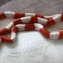 Молочная змея