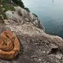 Остров Змей