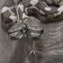 Двухголовая змея