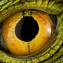 Глаза змеи