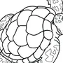 Картинка черепашка для раскрашивания