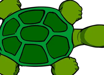 Картинки черепахи нарисованные