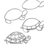 Картинки Черепахи Нарисованные